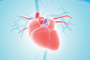 Cardiawave heart 300