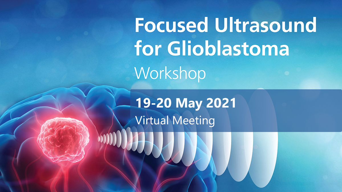 Focused Ultrasound for GBM Workshop Graphic