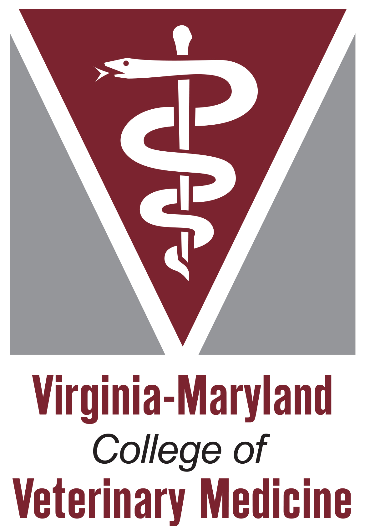 VA MD logo vertical color screen